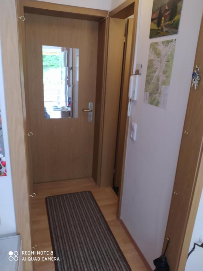 Tiny Flat Baiersbronn Appartement Buitenkant foto
